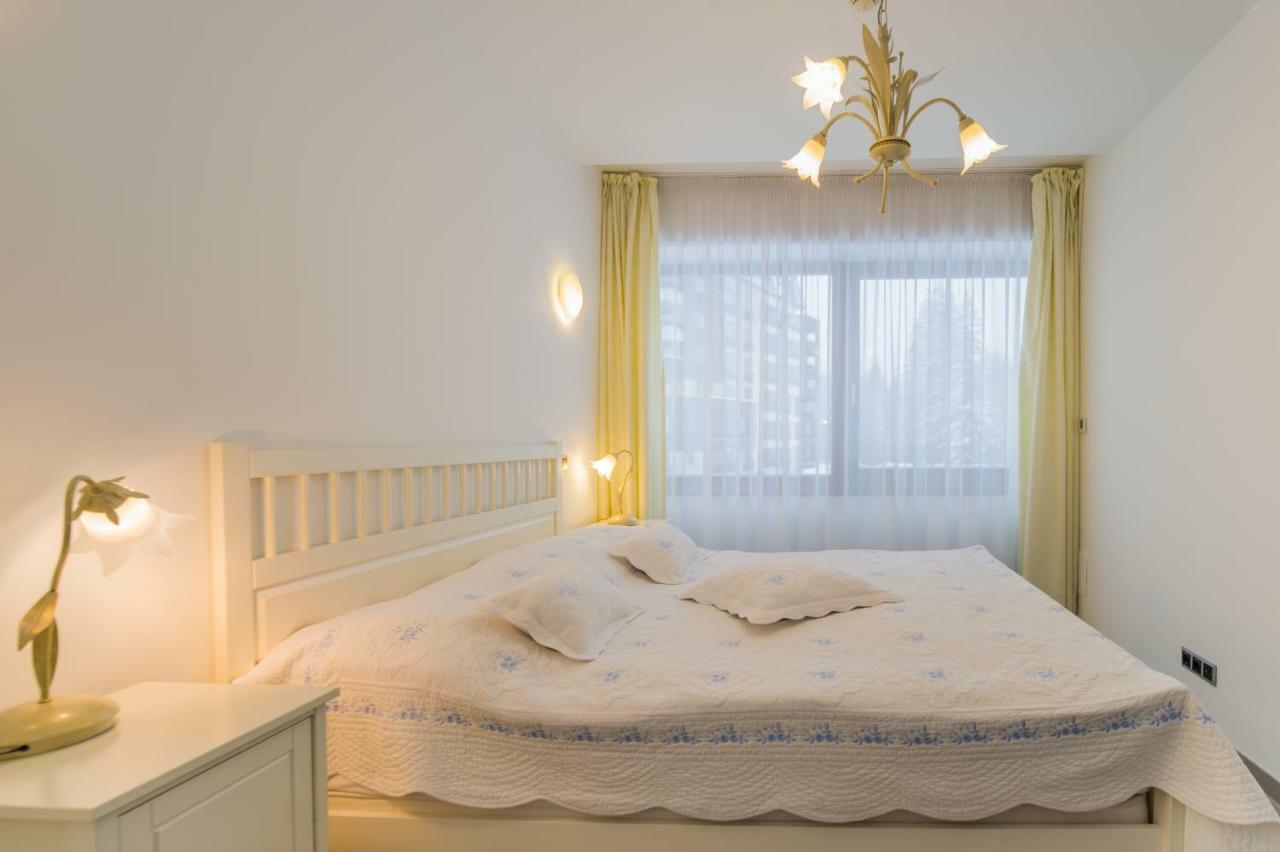 Charming 3-Bedroom Apartment Пояна-Брашов Экстерьер фото