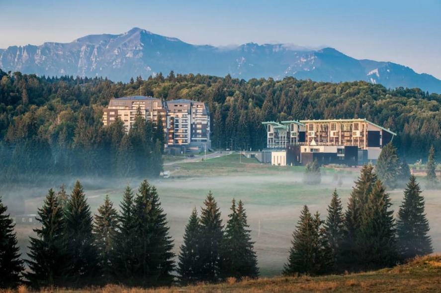 Charming 3-Bedroom Apartment Пояна-Брашов Экстерьер фото